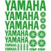 Adesivo Yamaha Rif: moto-167 verde chiaro