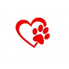 A forma di cuore con motivo a impronte di cani Puppy Love 10,16 (4 cm (colori assortiti), in vinile, decalcomania, adesivo per auto, camion, Windows, muri, Laptop, (colori assortiti)