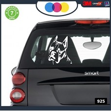 ADESIVO PER AUTO - CANE BOXER - STICKERS - cani, adesivi cani, STICKERS auto - accessori, stickers, decal Cod 925